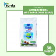 CLEANOL ANTIBACTERIAL WET WIPES (PINE SCENT) 30'S